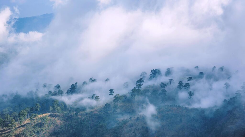 Fog over the mountains.In the rainy weather in the countryside. Filled with green trees and beautiful nature. Stock Free