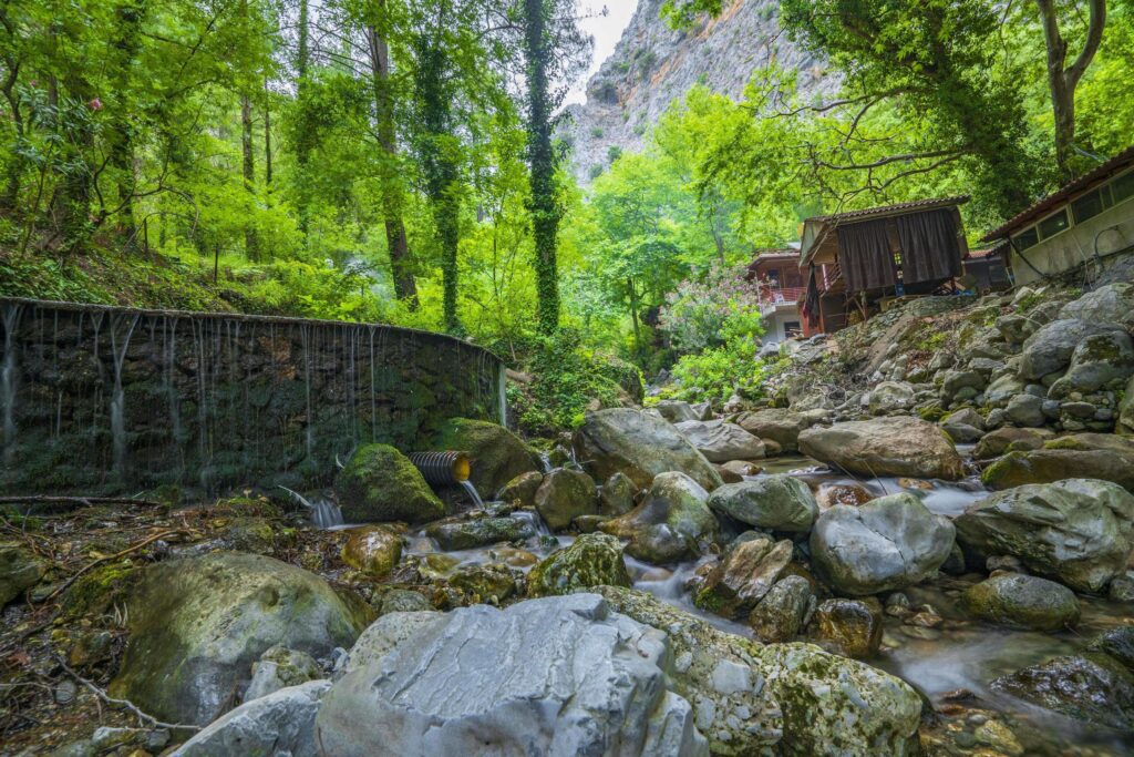 Mountain river stream waterfall green forest Landscape nature plant tree rainforest jungle Stock Free