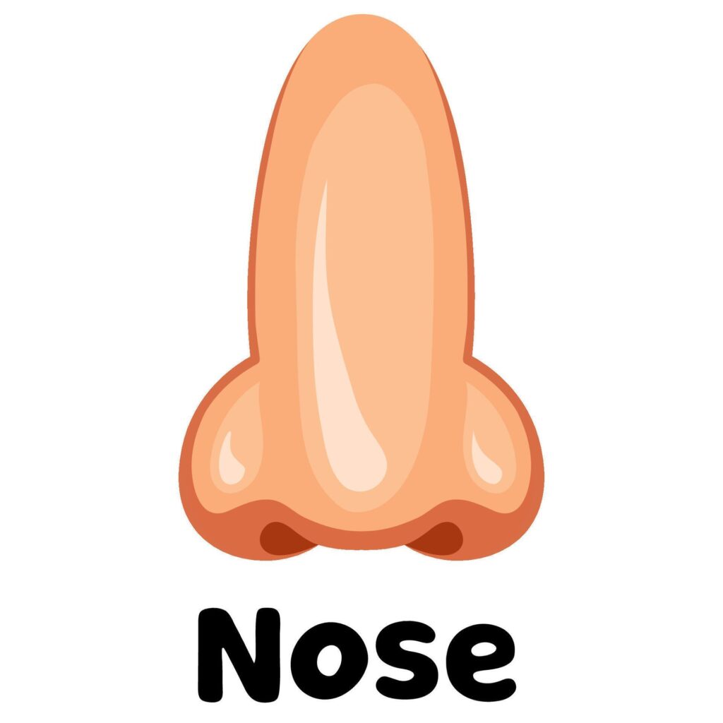 Nose icon illustration Stock Free