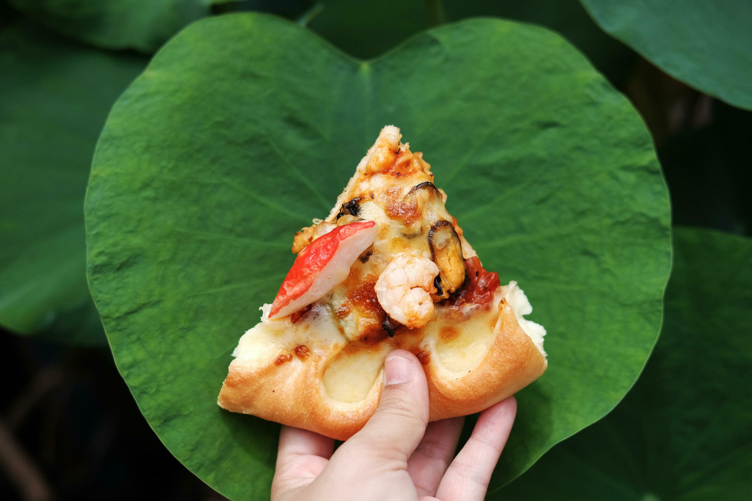 Hand holding Slice of Pizza on lotus leaves Background. Italian Food Stock Free