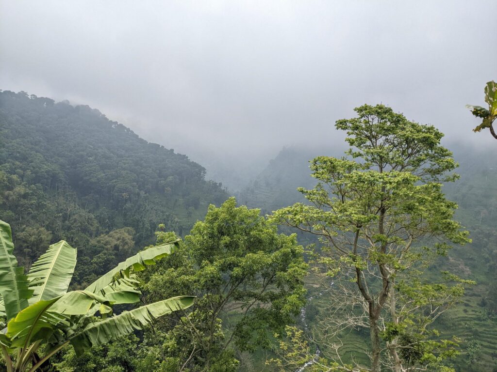 Landscape photo of mountain with fogging forest and cloudy sky. The photo is suitable to use for climate changes poster and nature background. Stock Free