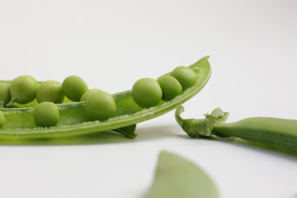 Pea on white background Stock Free