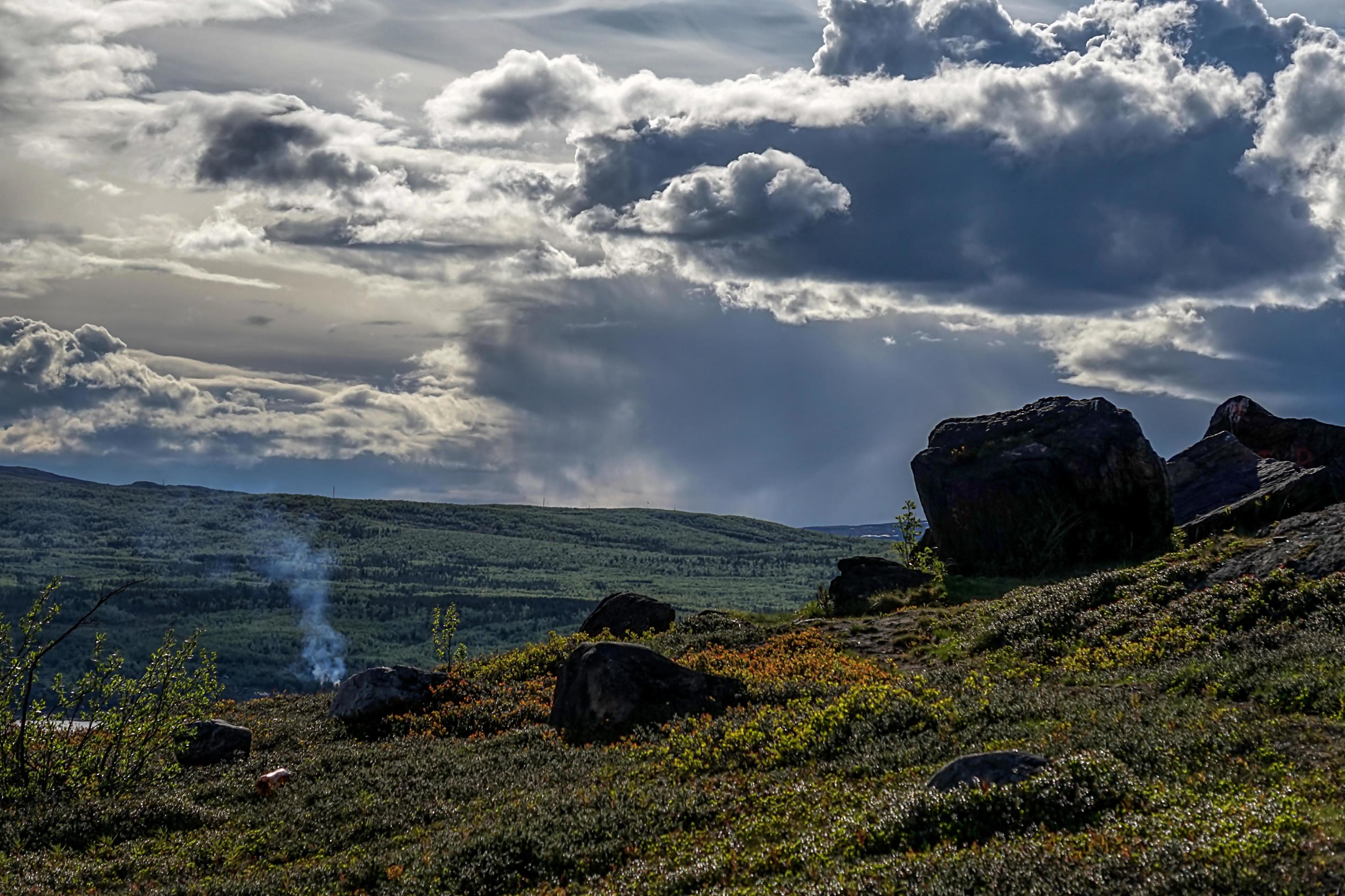 Natural landscape with trees and vegetation in the tundra. Stock Free