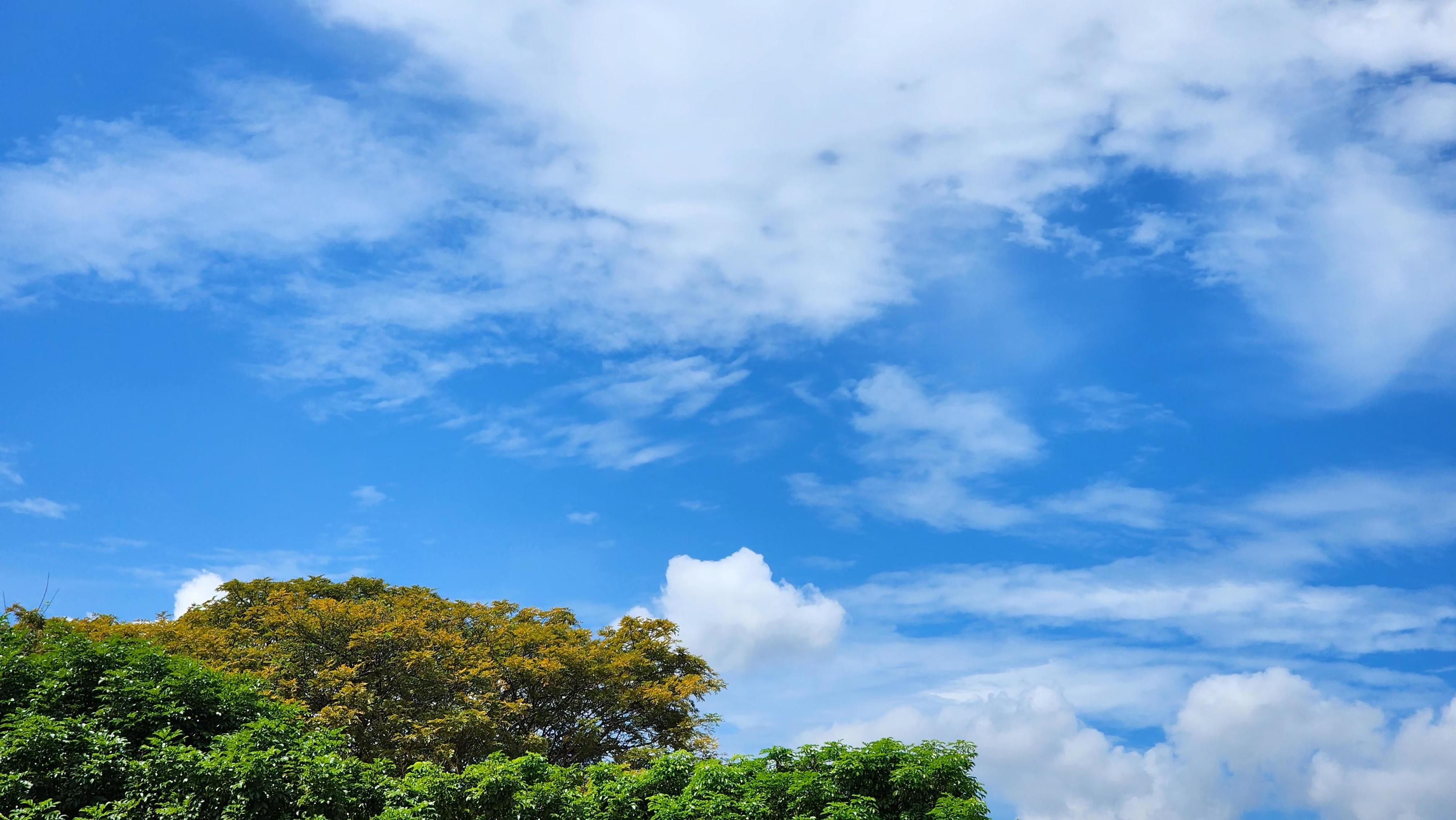 Cumulus Clouds In A Blue Sky During Day Time. Natural Sky Background and Wallpaper Stock Free