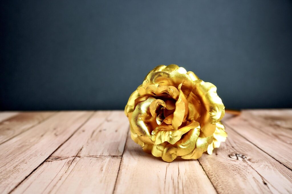 Gold rose flower petal from front view. Object photography isolated on horizontal ratio wooden surface background. Stock Free