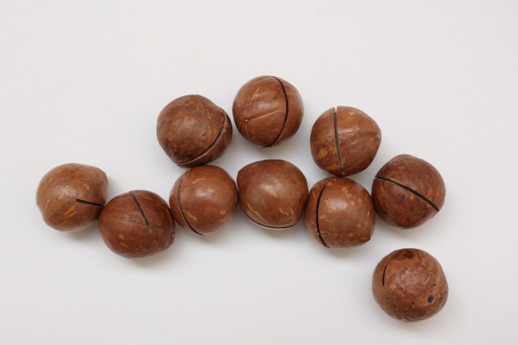 Macadamia nuts seeds background Stock Free