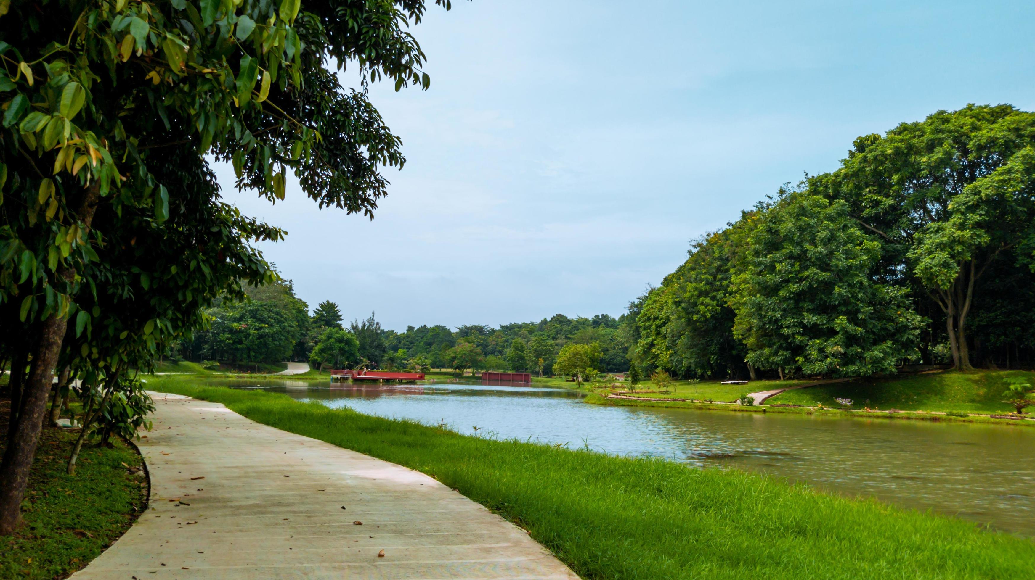 beautiful natural lanscape scenery, lake with wooden bridge, nature wallpaper, landscape background Stock Free