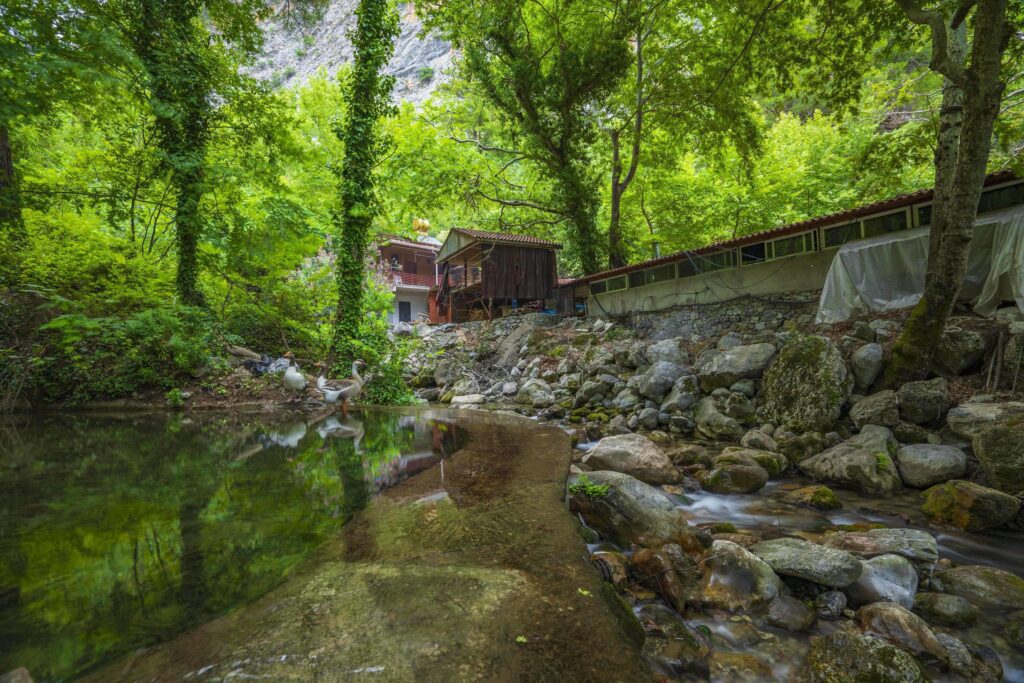 Mountain river stream waterfall green forest Landscape nature plant tree rainforest jungle Stock Free