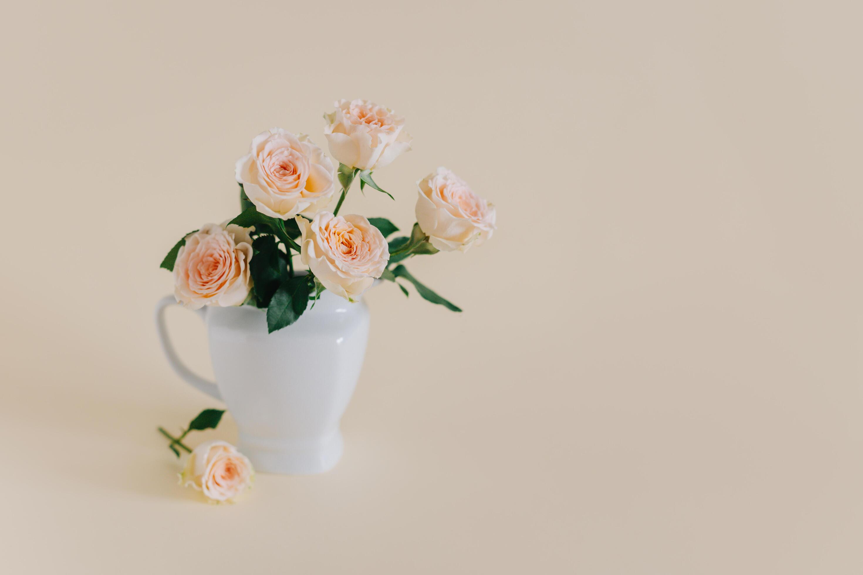 Tender Rose flowers in a vase on a pink pech pastel background. Stock Free