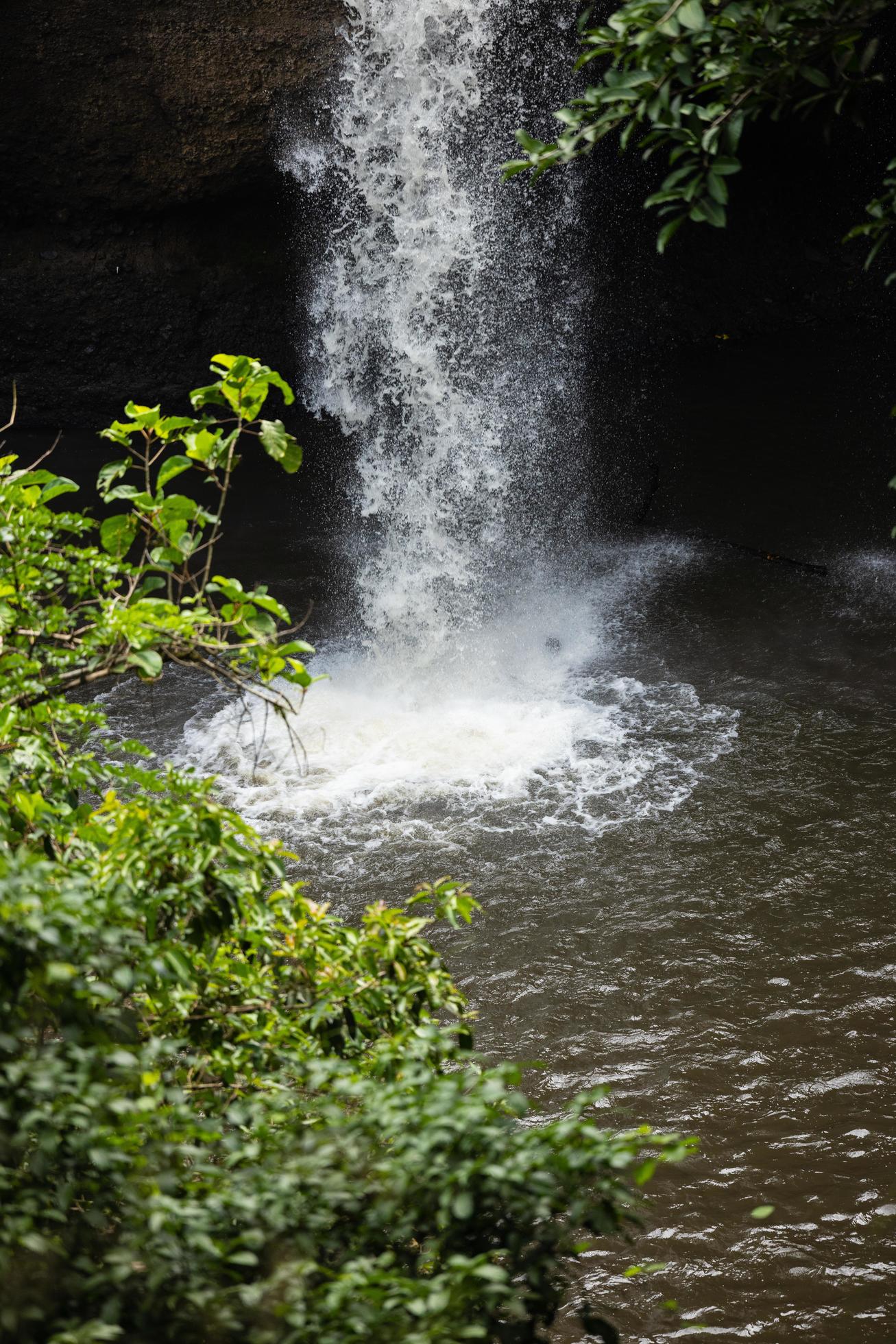 Waterfall in the big forest, beautiful in nature. Stock Free