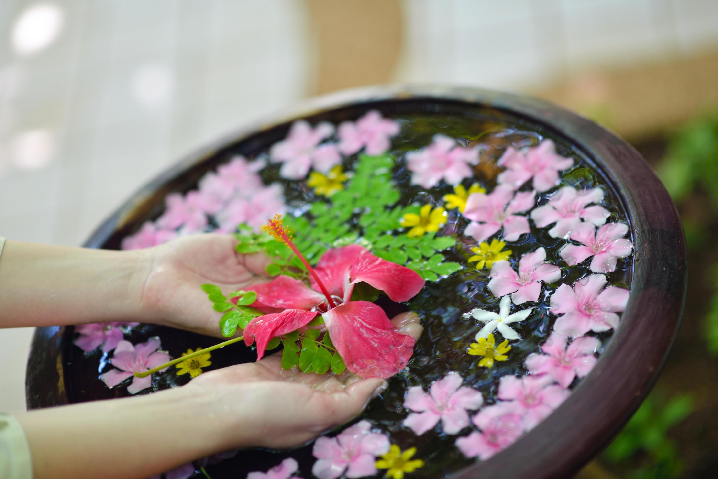 female hand and flower in water Stock Free