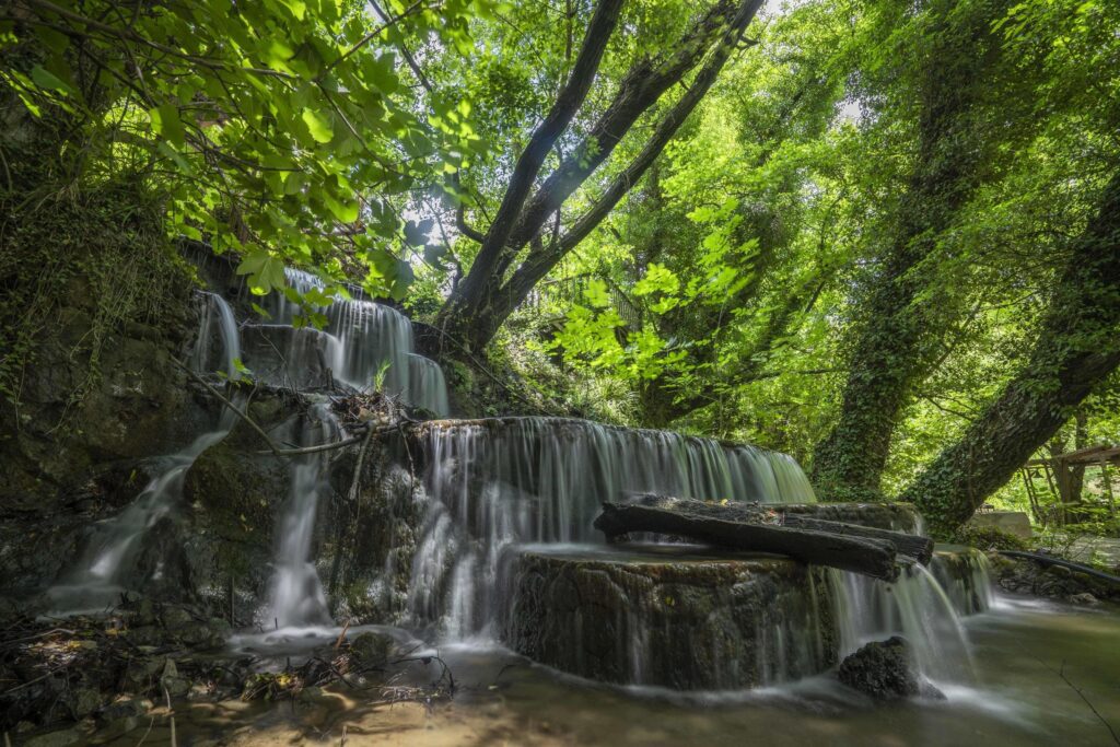 Mountain river stream waterfall green forest Landscape nature plant tree rainforest jungle Stock Free