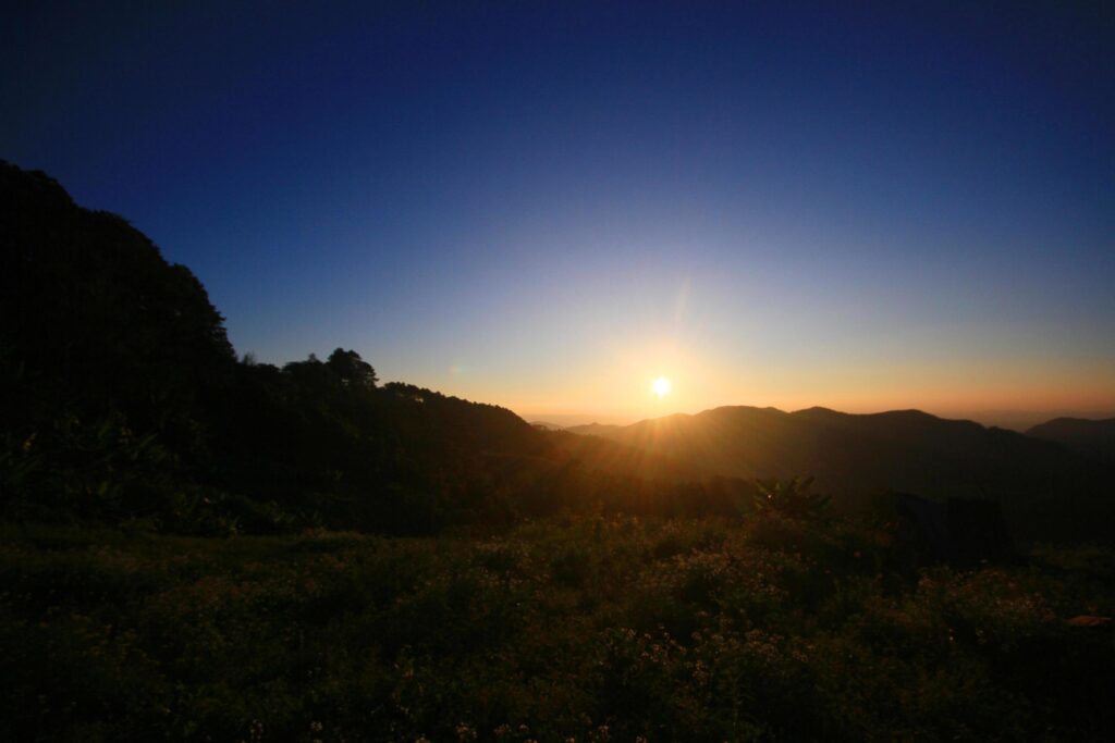 Beautiful bloming wild flowers fields and meadow in springtime on sunset and natural sunlight shining on mountain. Stock Free