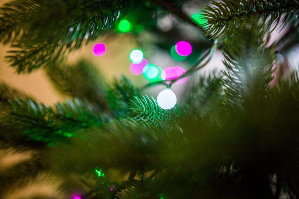 Christmas Tree Lights Bokeh Stock Free