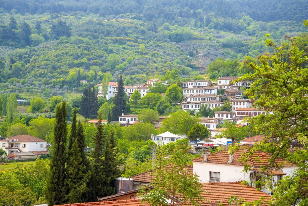 A village in Turkey on a summer and sunny day. Stock Free