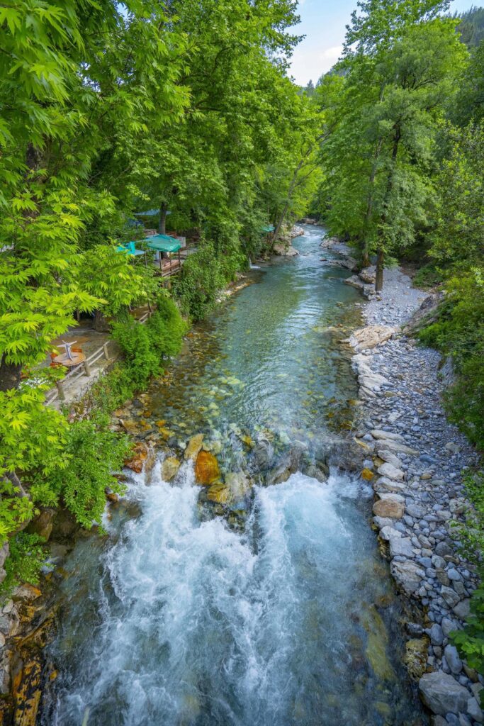 Mountain river stream waterfall green forest Landscape nature plant tree rainforest jungle Stock Free