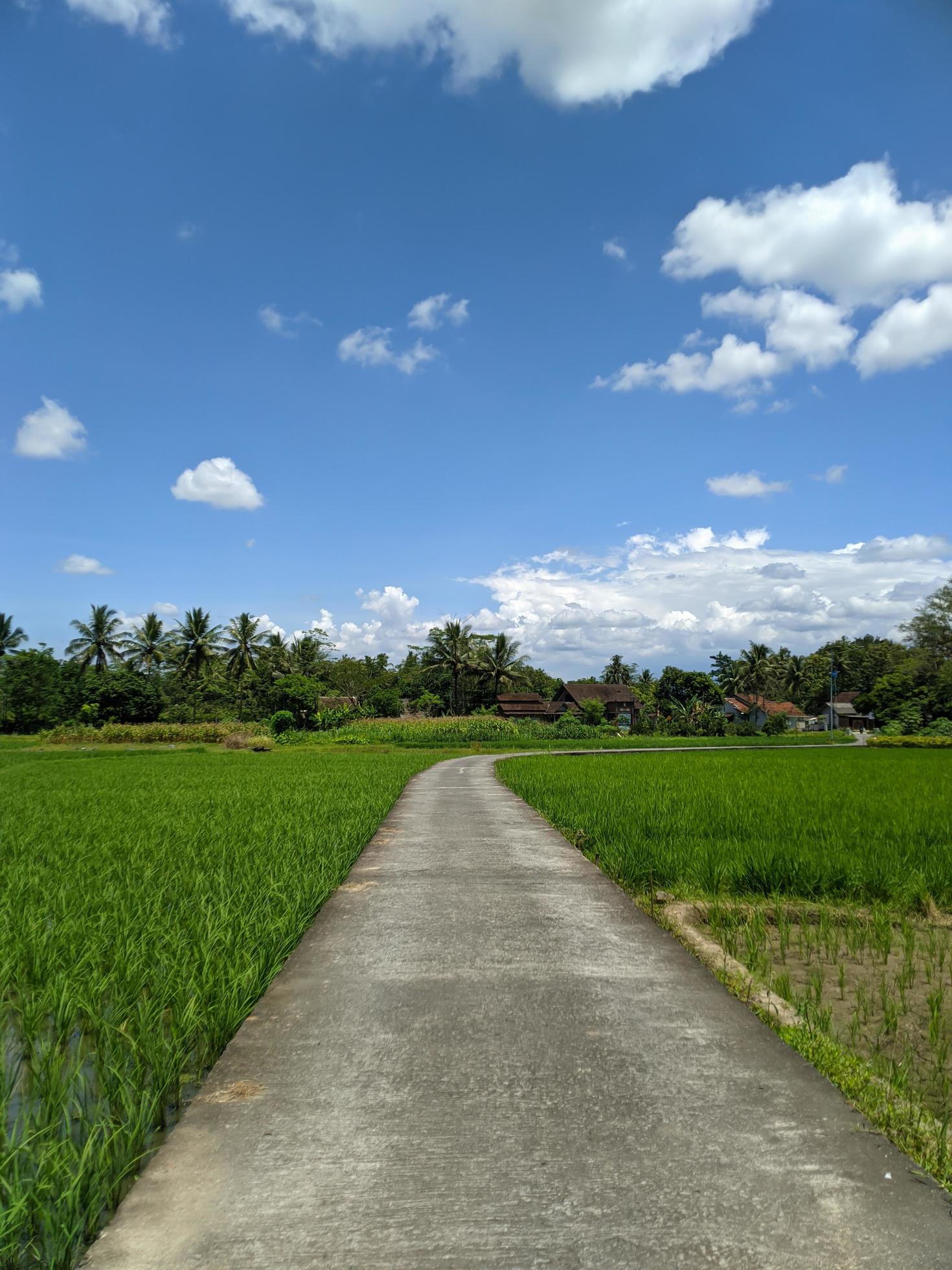 the beauty of the natural scenery in the village during the day Stock Free