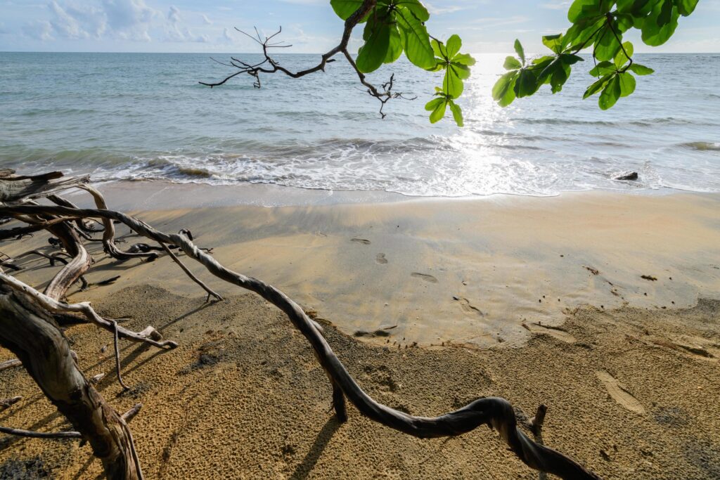 Nangthong natural black beach in thailand,Kholak Phangnga Stock Free