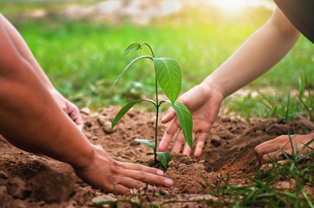 mother with children helping planting tree in nature for save earth. environment eco concept Stock Free