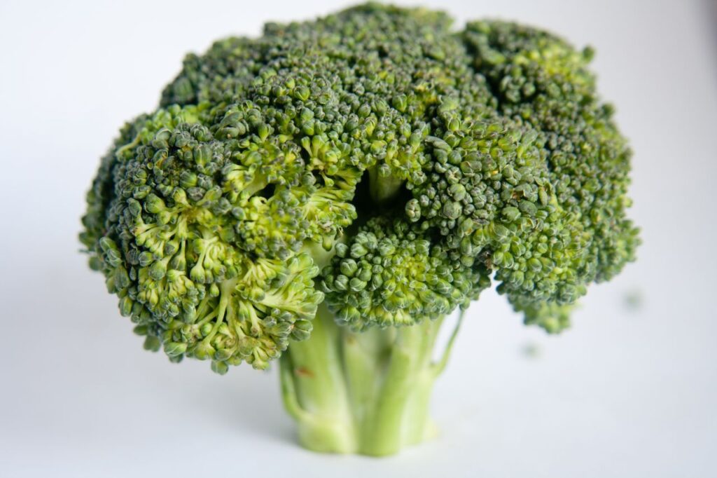 Broccoli Single Stock Free