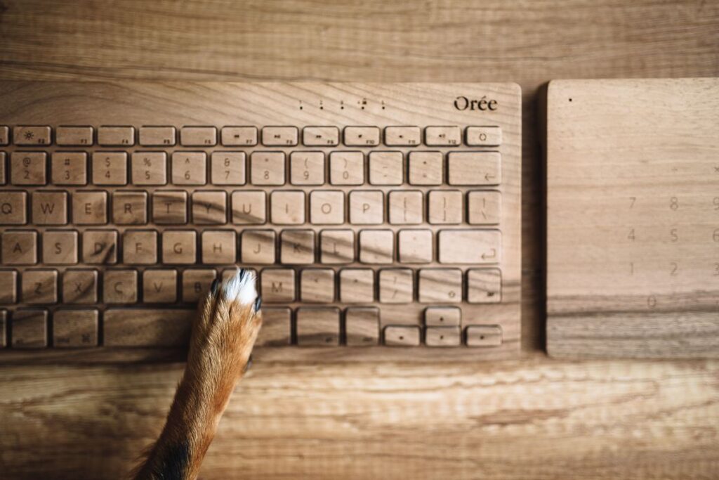 
									Dogs paw on the wooden keyboard Stock Free