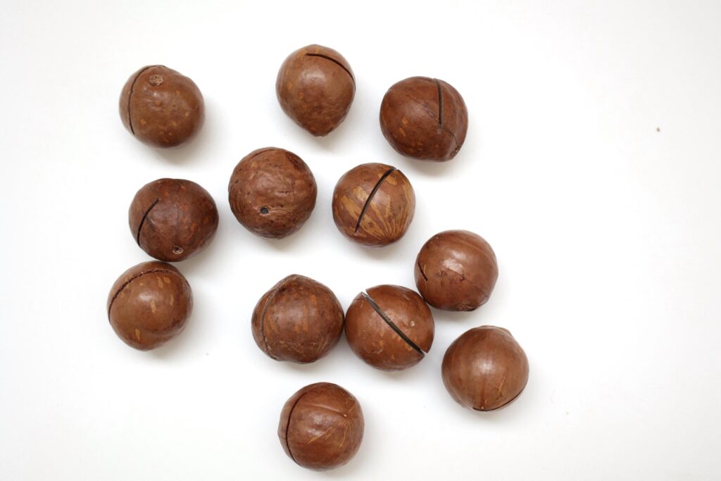 Macadamia nuts seeds background Stock Free