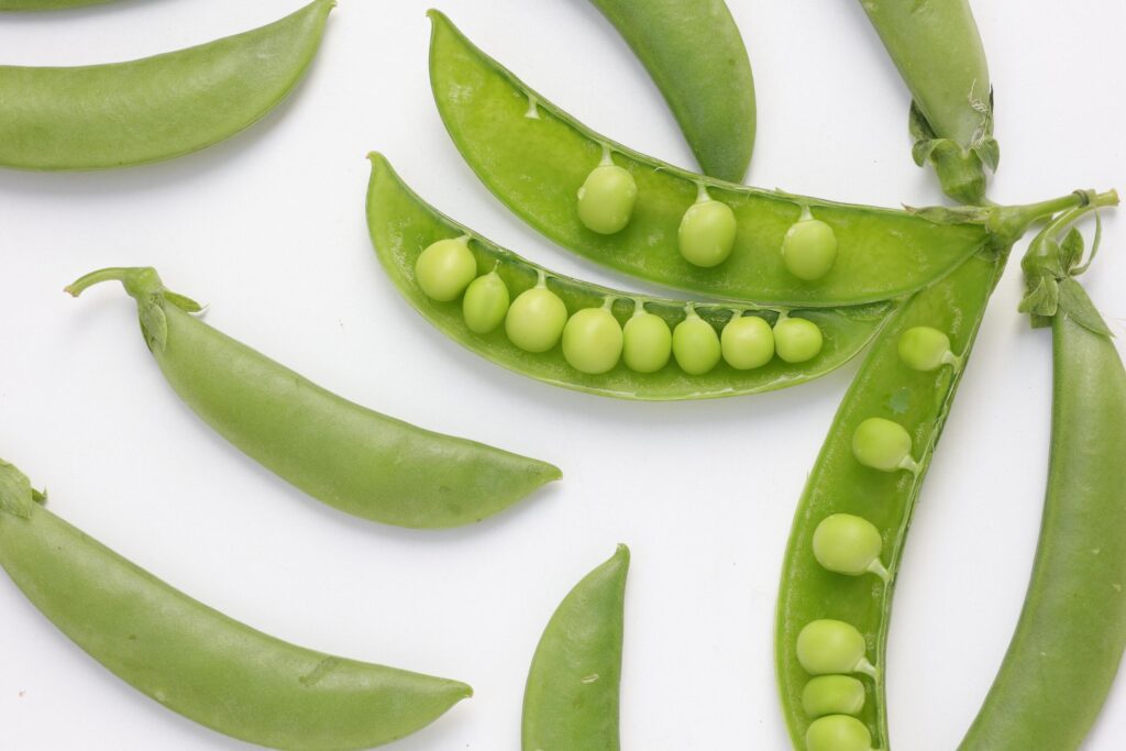 Pea on white background Stock Free