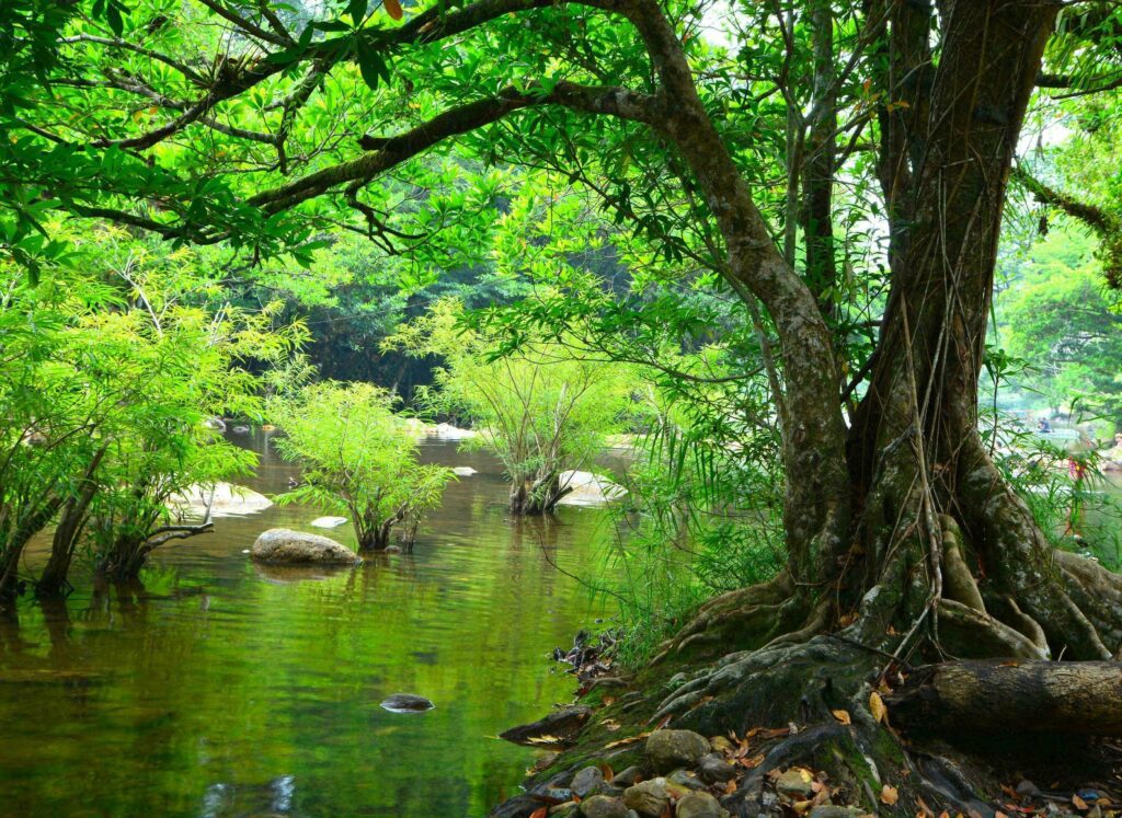 Nature green landscape sky background photo Stock Free