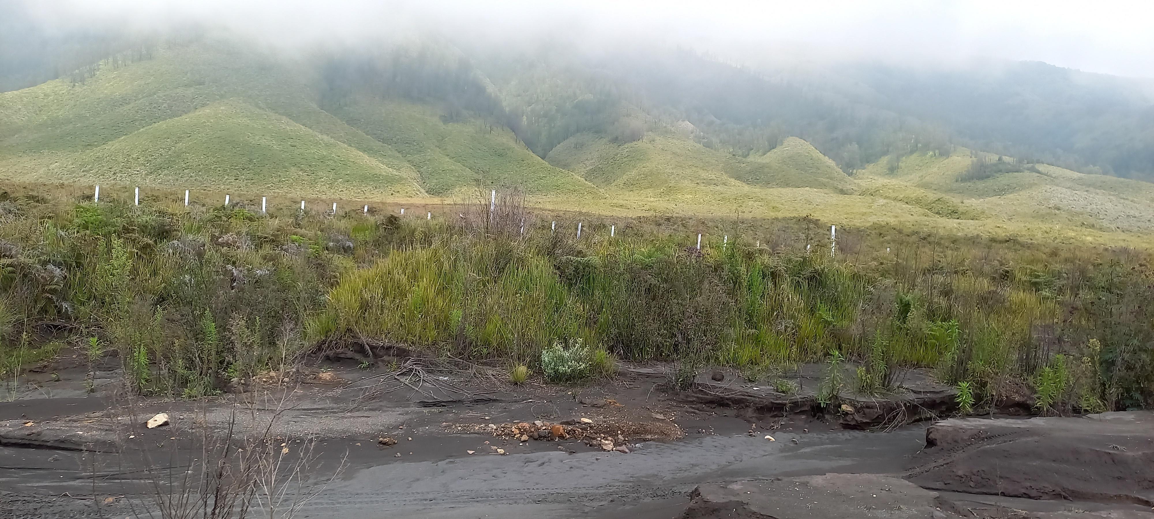 See the natural beauty of Mount Bromo, Indonesia Stock Free