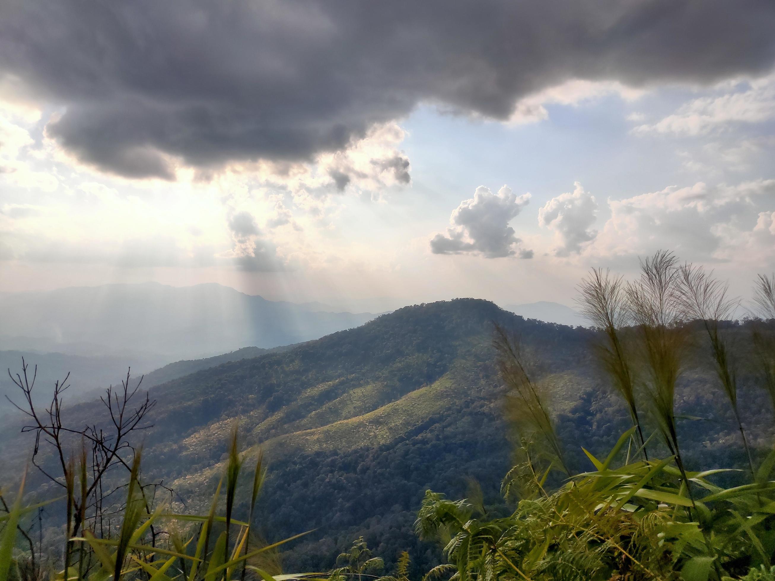 Mountain valley during sunrise. Natural summer landscape Stock Free