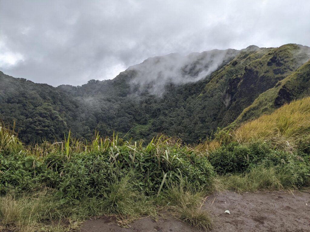 The way going to peak mountain, with Savana and foggy vibes. The photo is suitable to use for adventure content media, nature poster and forest background. Stock Free