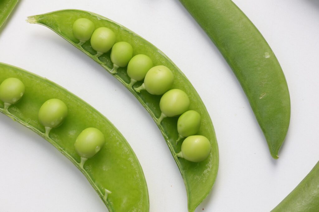 Pea on white background Stock Free