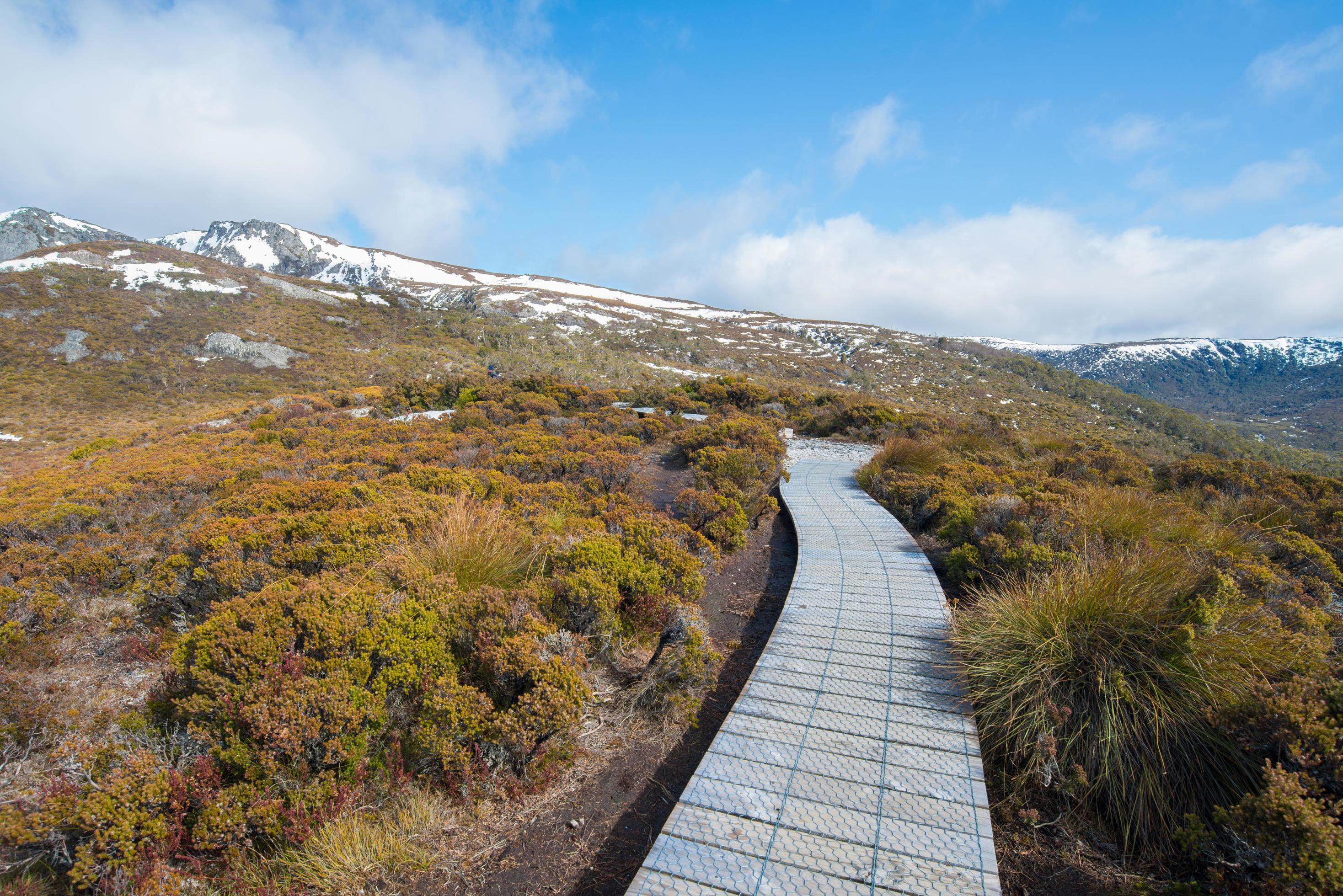 Board walk to the nature in Cradle mountain national park, Tasmania state of Australia. Stock Free