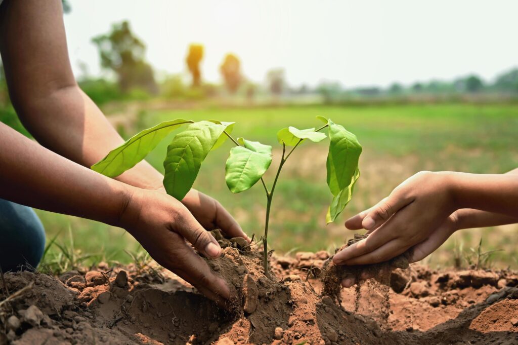 people helping planting tree in nature for save earth. environment eco concept Stock Free