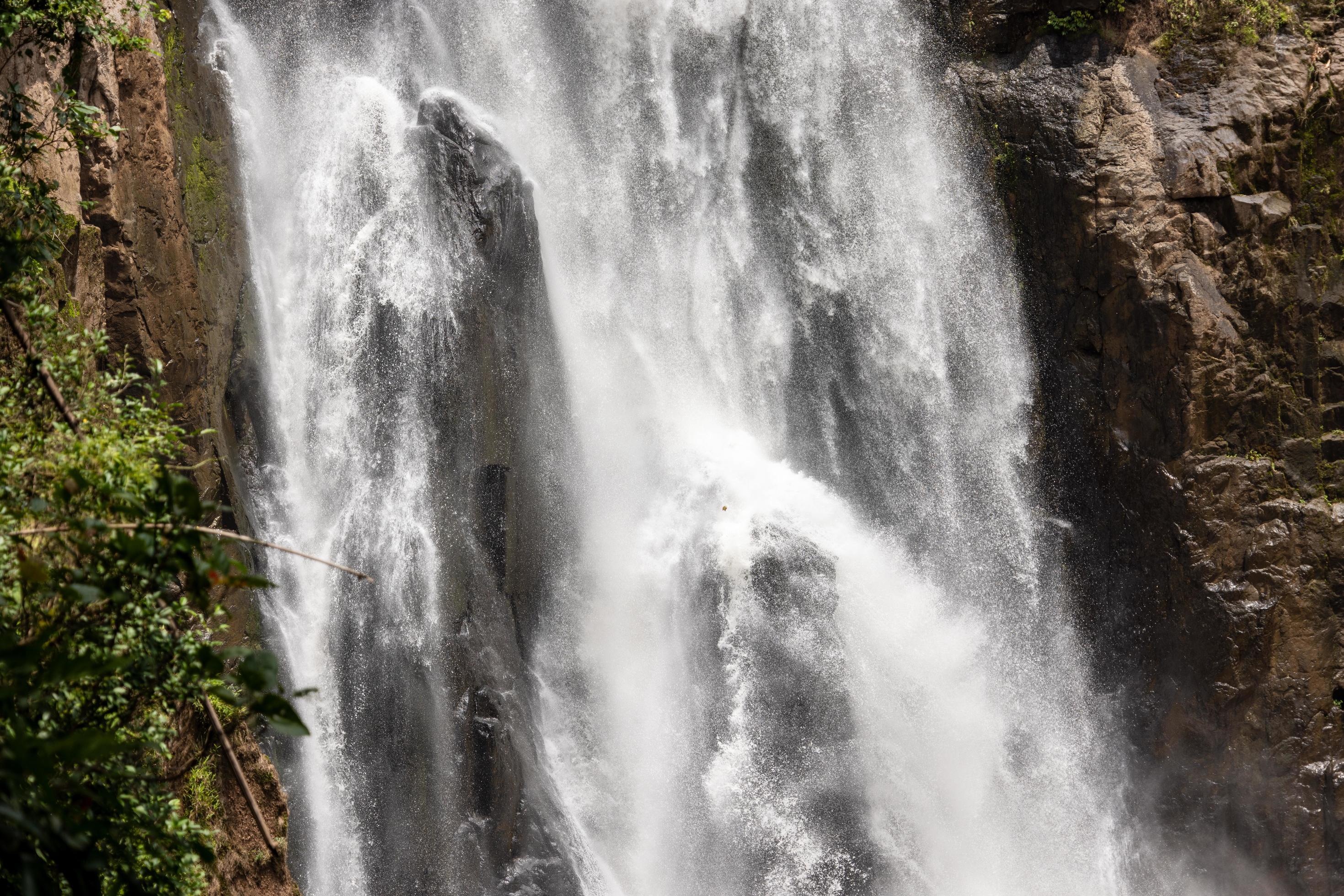 A natural waterfall in a big forest in the midst of beautiful nature. Stock Free