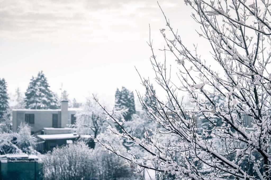 Beautiful Snow Covered City Scenery Free Photo