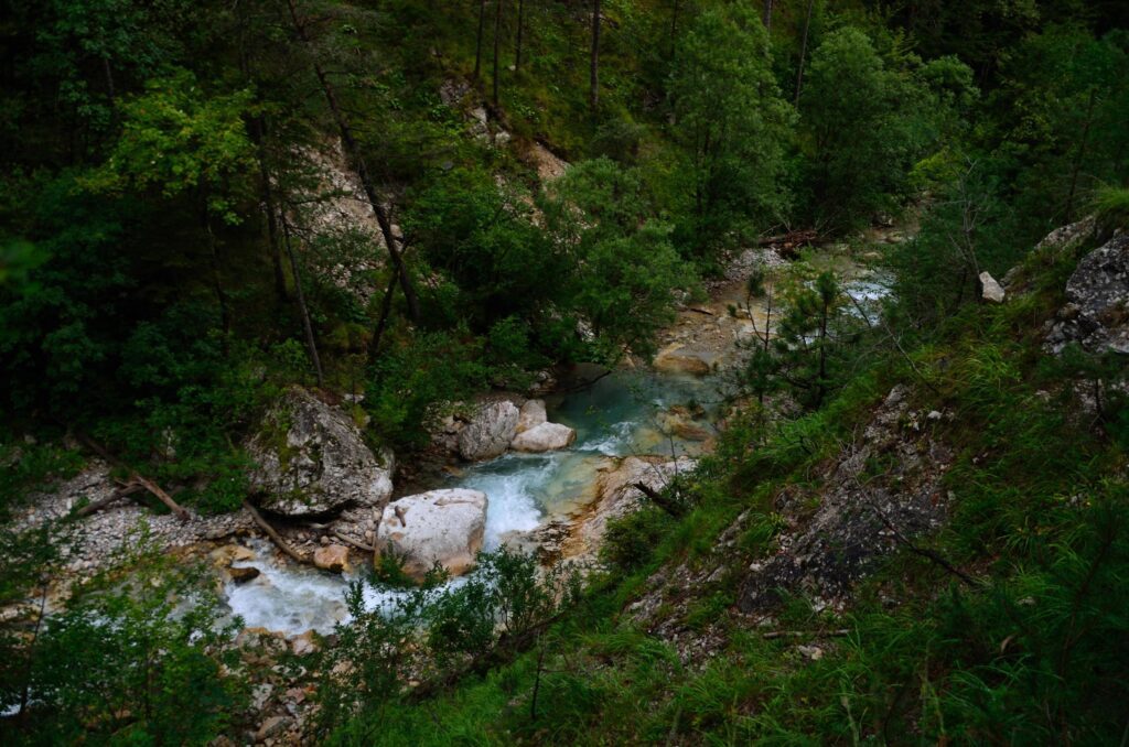 wild creek in nature Stock Free