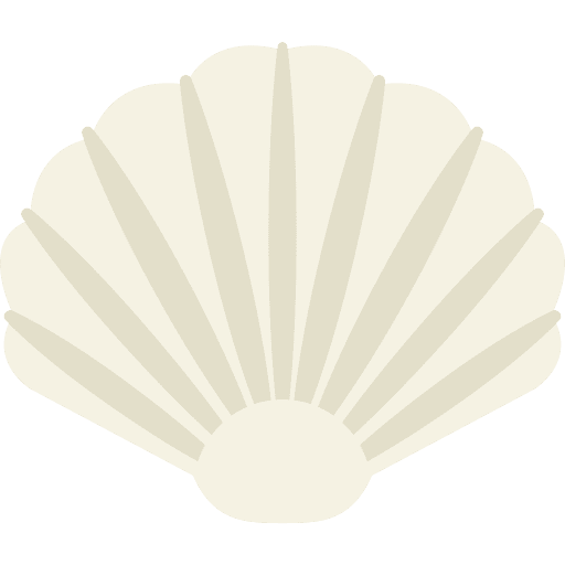 Summer, shell, beach icon