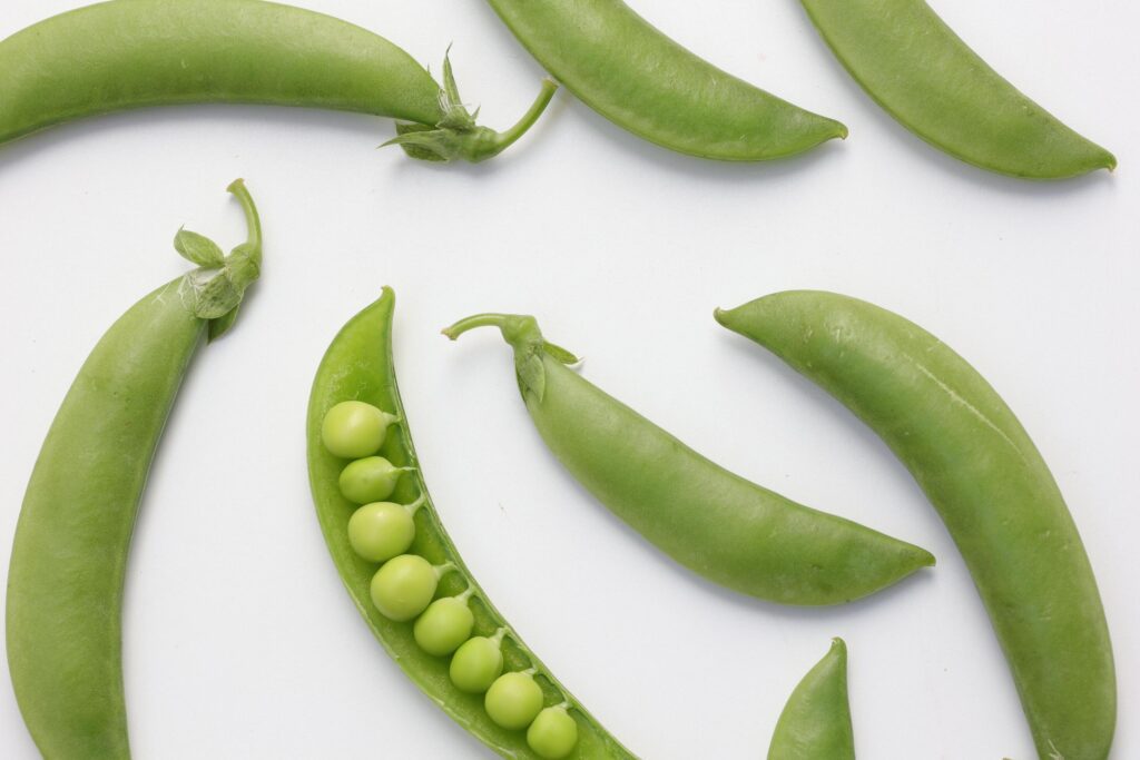 Pea on white background Stock Free