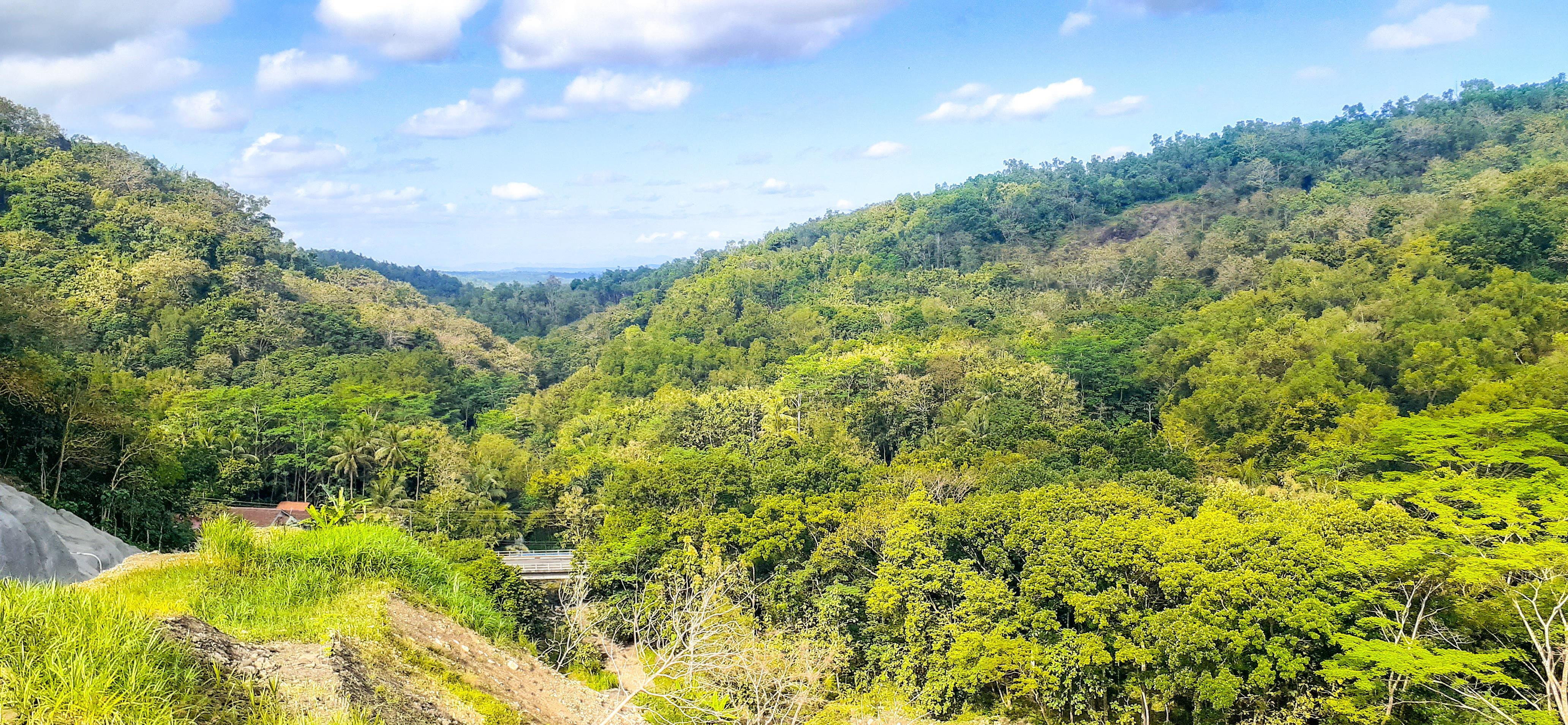 Natural landscape with forest background and blue sky Stock Free