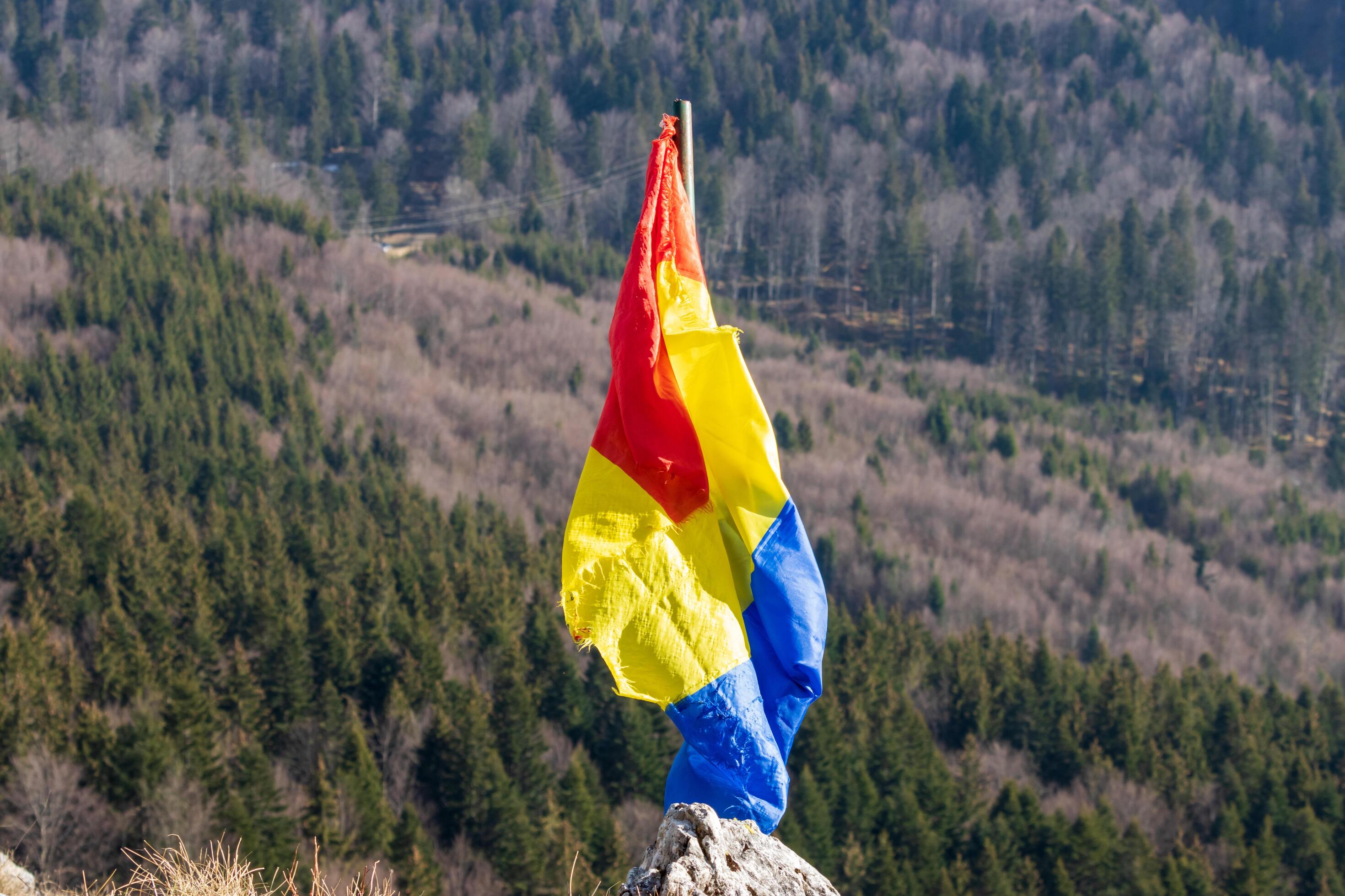 Photo of the Romanian flag with forest in the background Stock Free