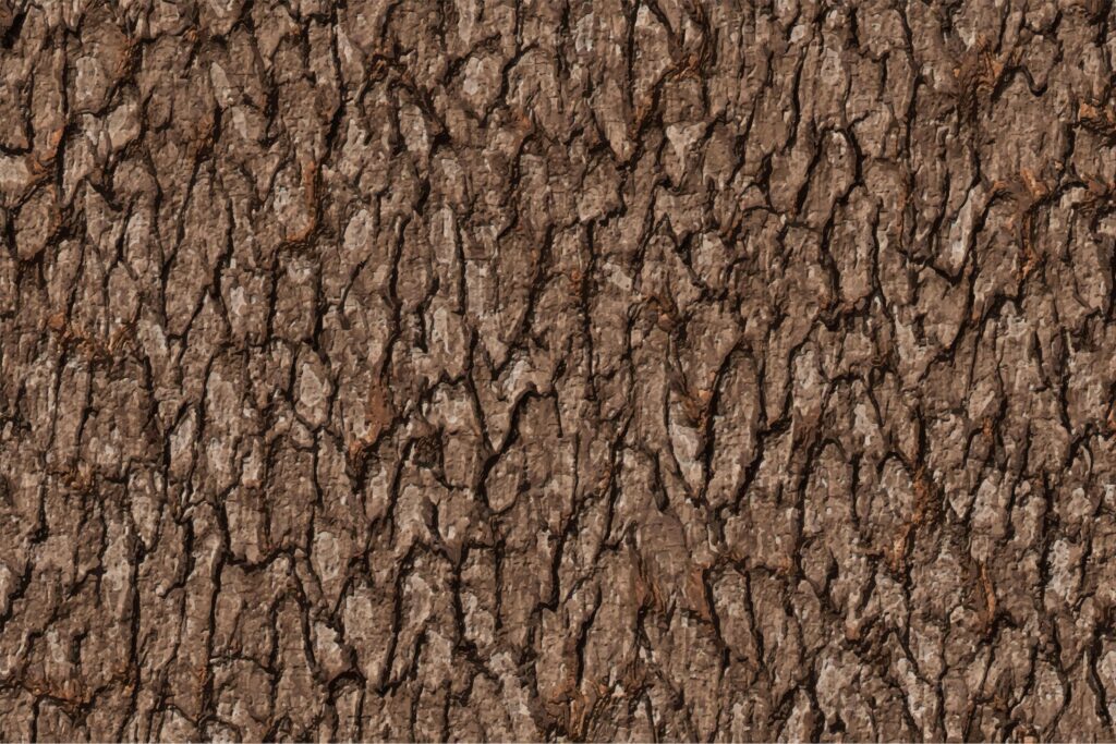 small bark texture background Stock Free