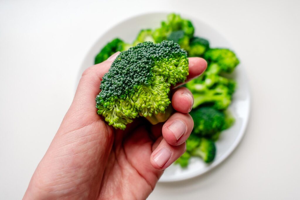 Broccoli in a woman’s hand against the background of a plate of broccoli. Broccoli on a white plate. Stock Free