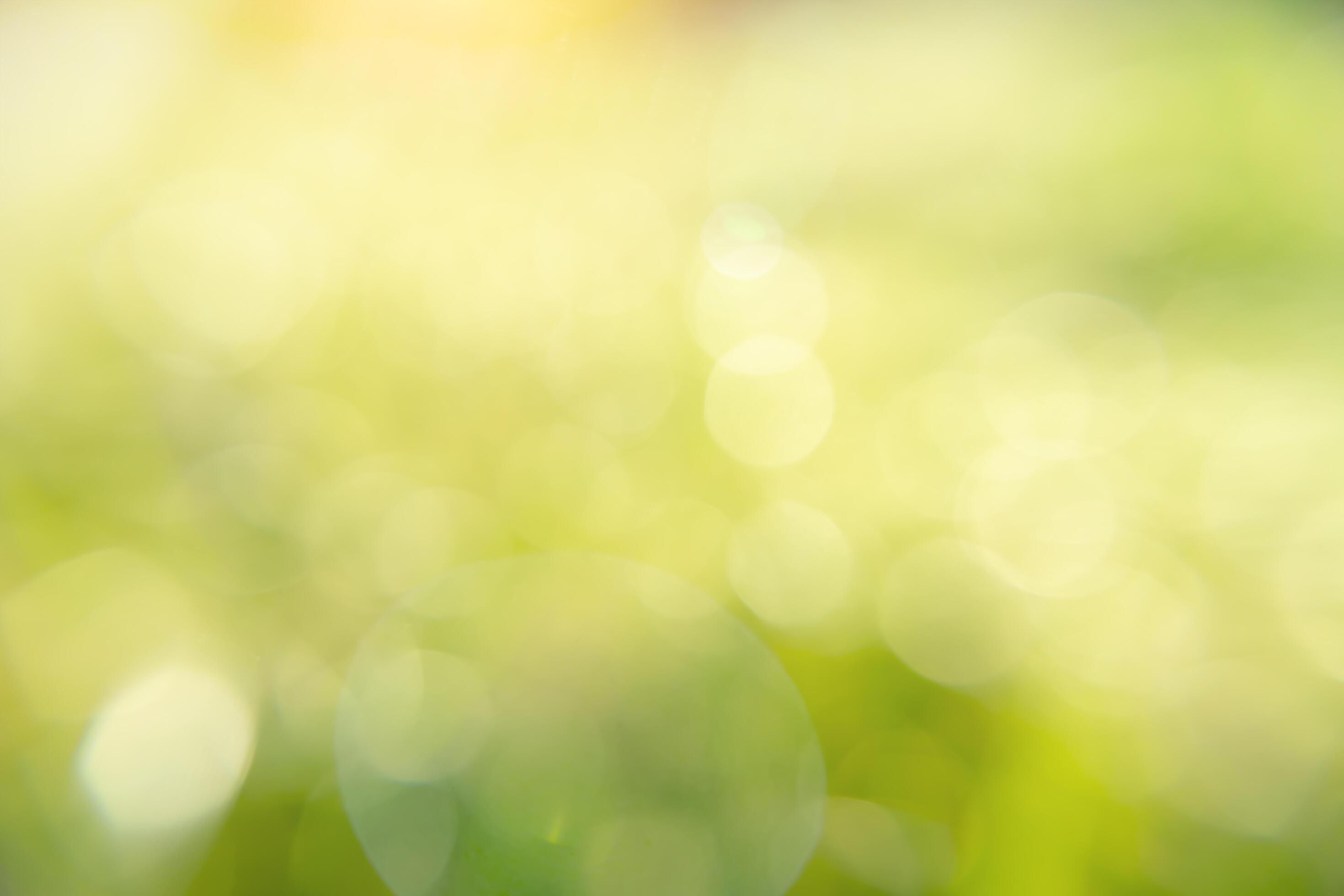 Green blur background with sunlight and bokeh light. Stock Free