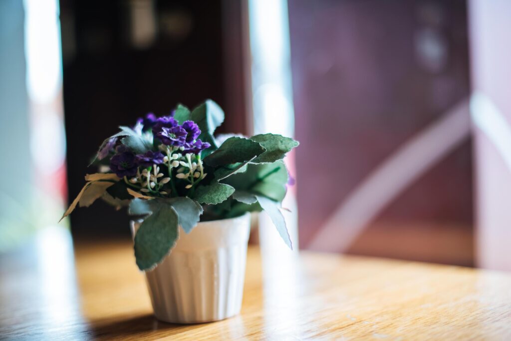 Flower in vase on table at coffee shop Stock Free