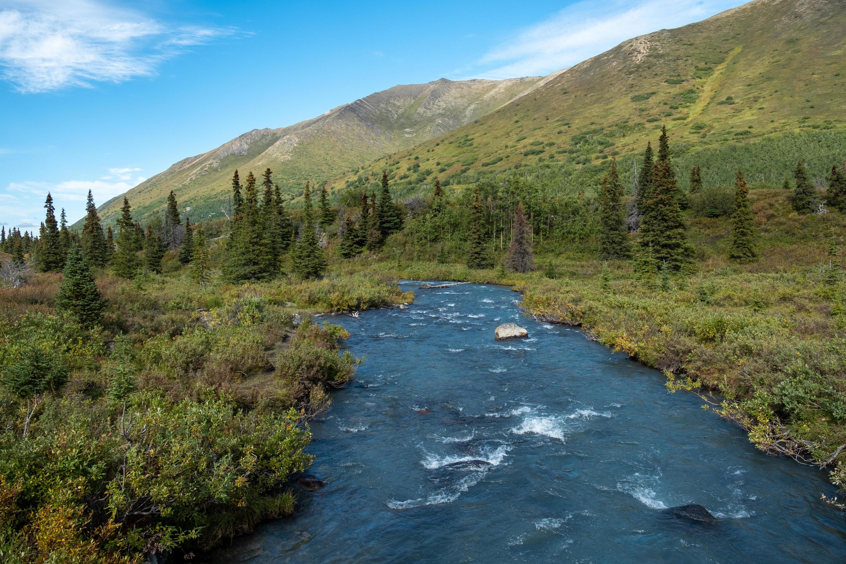 Nature landscape in Alaska Stock Free