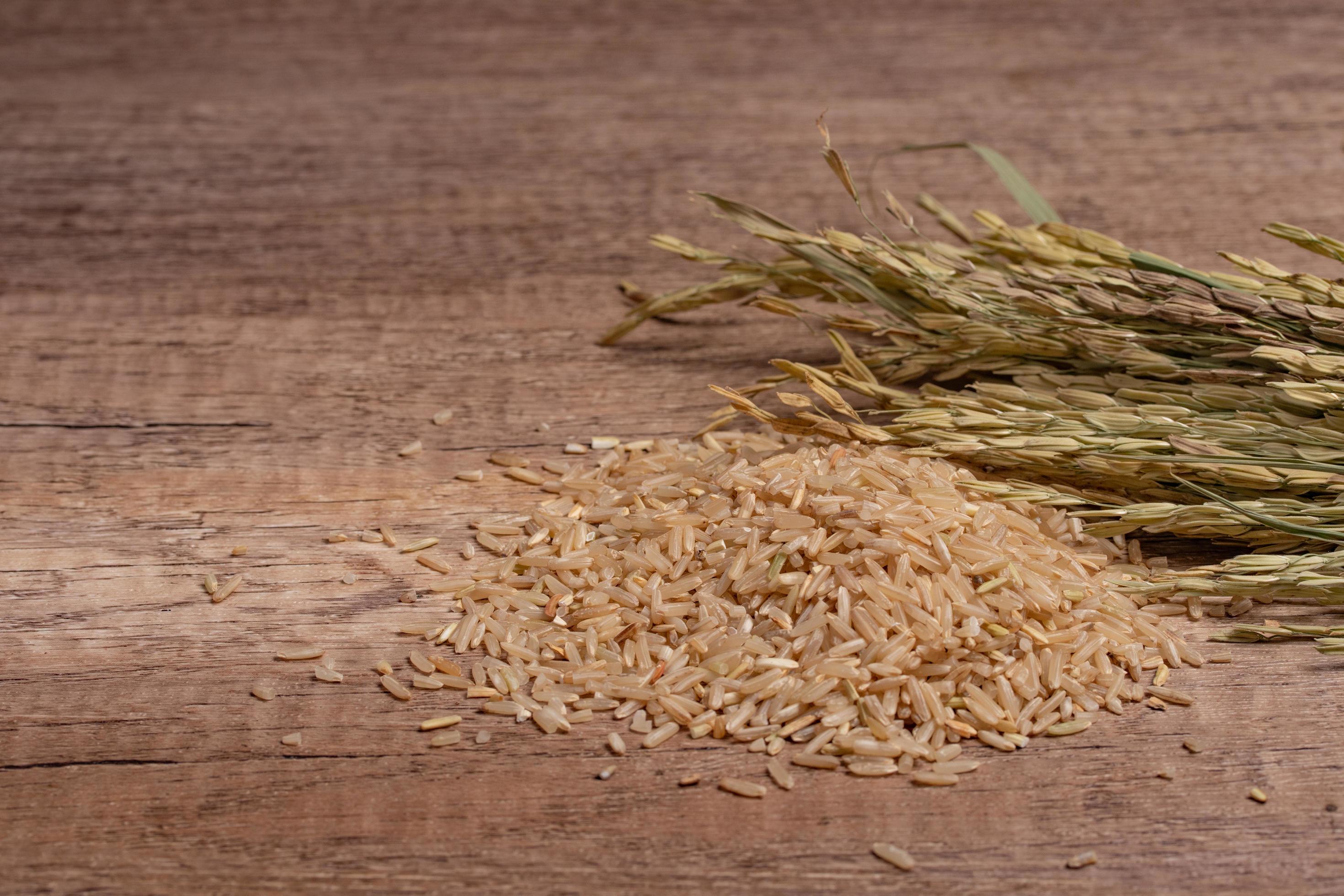 brown Jasmine rice on dark wood background with copy space, healthy food Stock Free