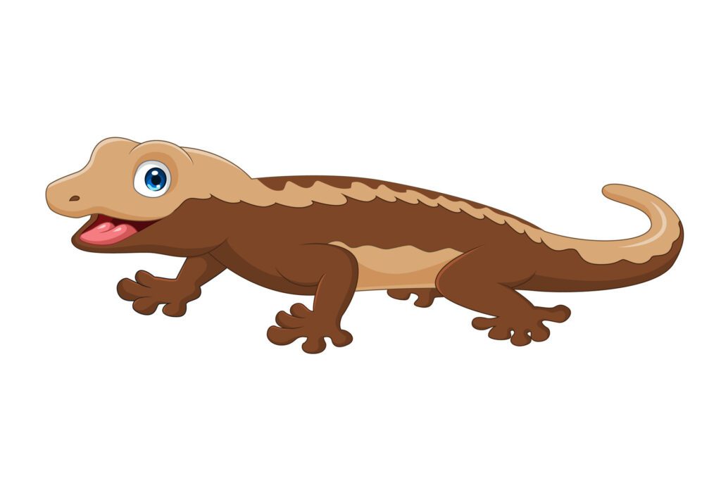 Cute crested gecko cartoon on white background Free Vector