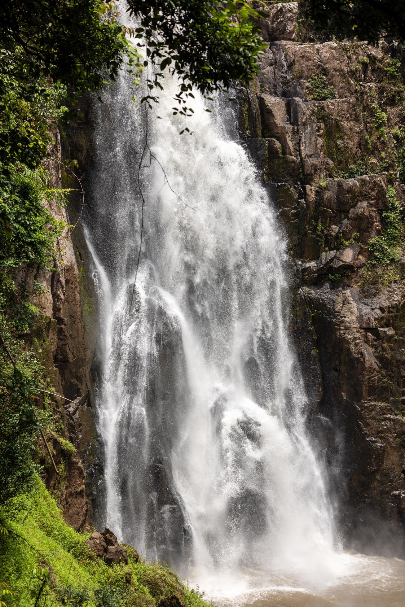 A natural waterfall in a big forest in the midst of beautiful nature. Stock Free