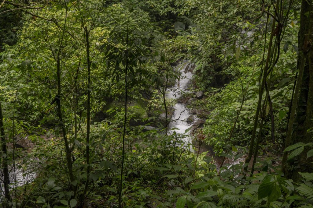 The way going to water fall on the rain forest. The photo is suitable to use for adventure content media, nature poster and forest background. Stock Free